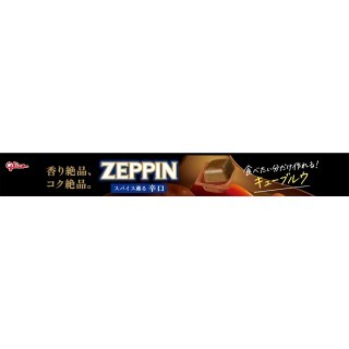 カレーZEPPIN 辛口 展開図